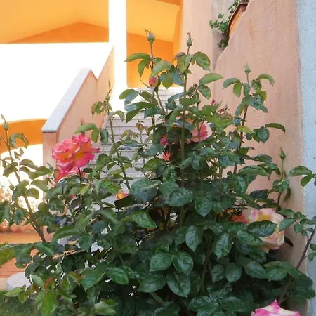 Il Viandante 3* San Teodoro (Sardinia)